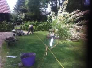 Anne planting Salix
