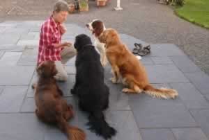Dog trainer Lyn, one of our regular guests at our luxury dog-friendly holiday cottages in Suffolk