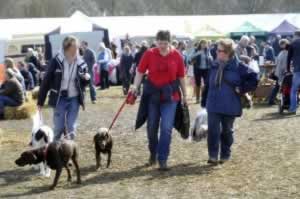 Dog festival - Framlingham Country show near our luxury Suffolk holiday cottages