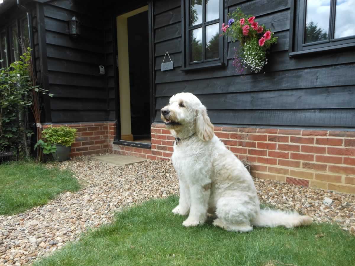 Dog Friendly Holiday Cottages Woodfarm Barns
