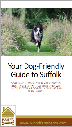 dog friendly guide to suffolk