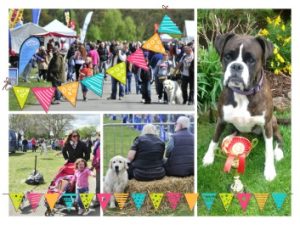 All About Dogs 2017
