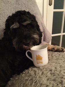 Suffolk Holiday Mug Shots - Toby loving his cuppa!