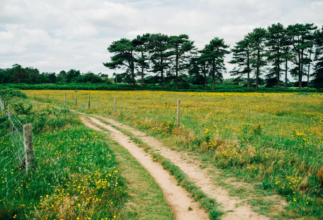 Suffolk country walks