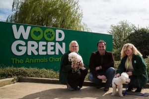 Wood Green working with dog friendly Woodfarm Barns