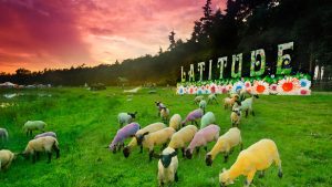 Latitude Festival; What's on in Suffolk