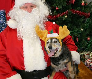 A very happy dog with Santa