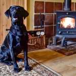Happy Dogs love our log fires
