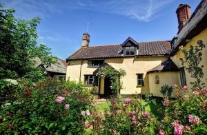 dog friendly holiday cottage in Suffolk
