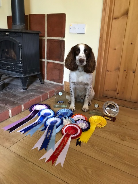 Fen's dog agility awards - August 2018