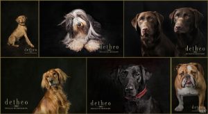 Pet portraits of your dogs