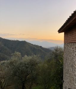 Holiday Cottage in Tuscany