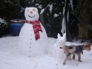 Dog peeing on a snowman