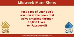 Woodfarm Barns Midweek Mutt-Shot post
