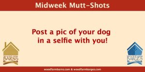 A Midweek Mutt Shot post by Woodfarm Barns