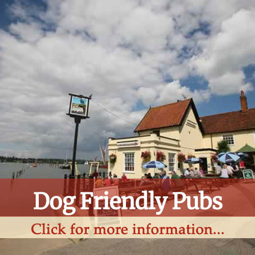 dog friendly pubs thumbnail