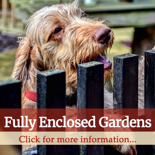 fully enclosed gardens dog friendly thumbnail