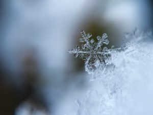 Winter in Suffolk