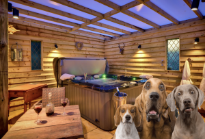 Dog friendly barn for rent