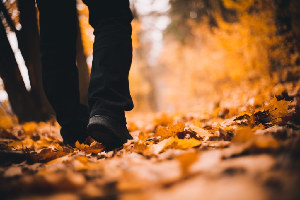 Walking through leaves
