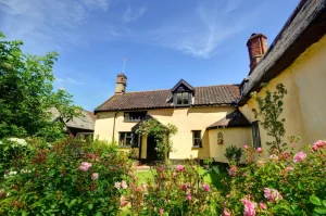 Dog friendly cottage with a view