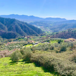 view from trebbio in tuscany