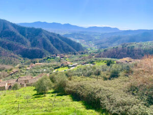 view from trebbio in tuscany