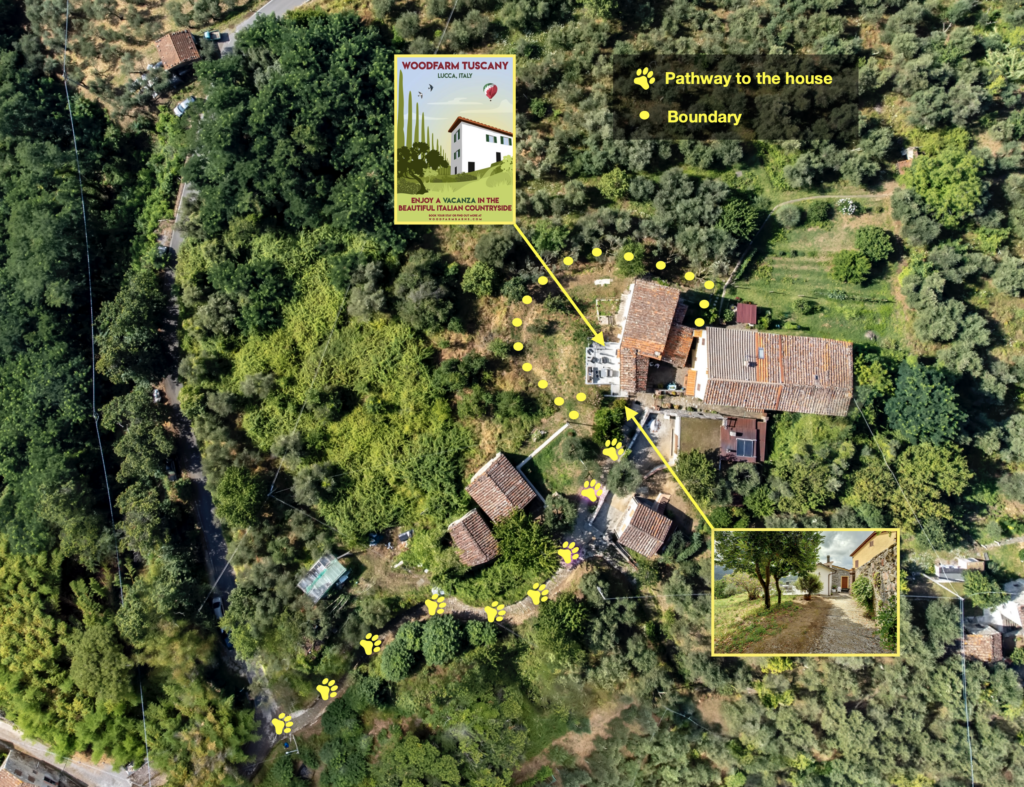 Aerial shot of Casa Trebbio, showing the pathway to it from the road.