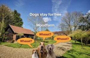 Dogs stay free at Woodfarm Barns & Barges