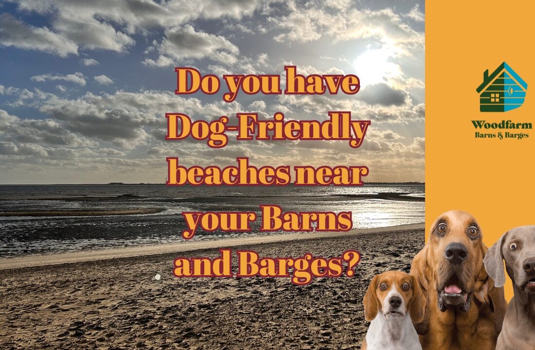 Do you have Dog-Friendly beaches nearby