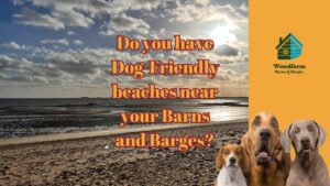 Do you have Dog-Friendly beaches nearby