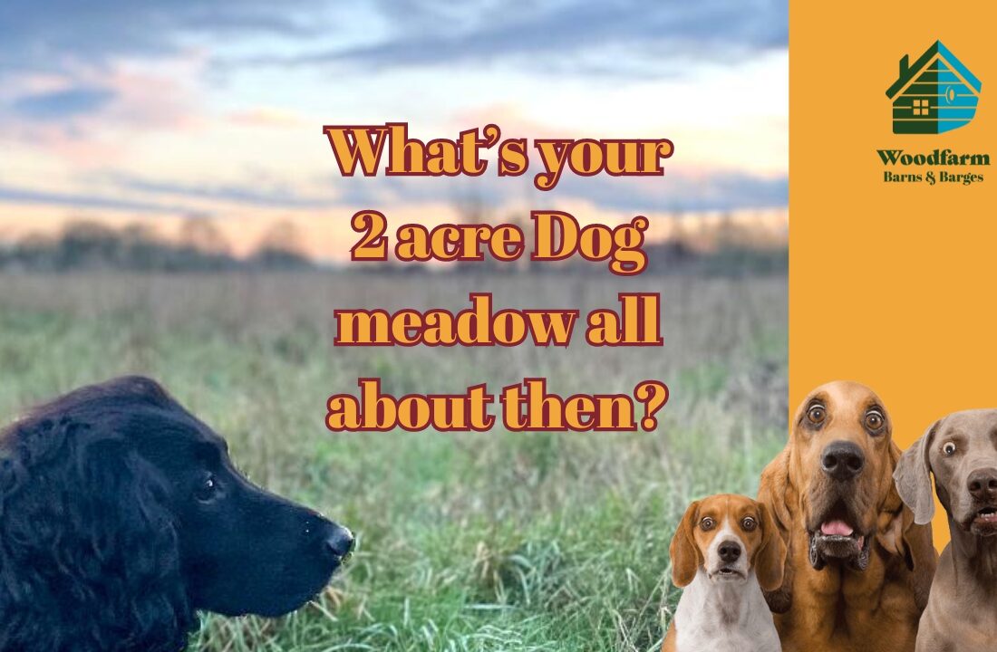 What's your 2 acre dog meadow all about?