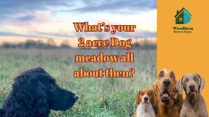 What's your 2 acre dog meadow all about?