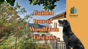Woodfarm Tuscany guided tour