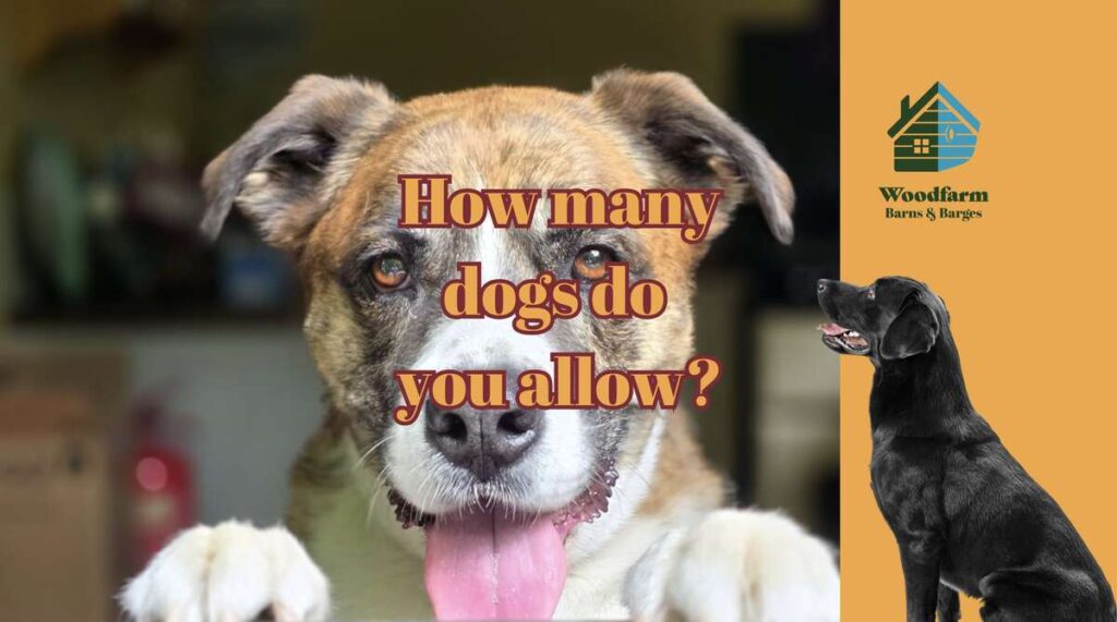 How many dogs do you allow?