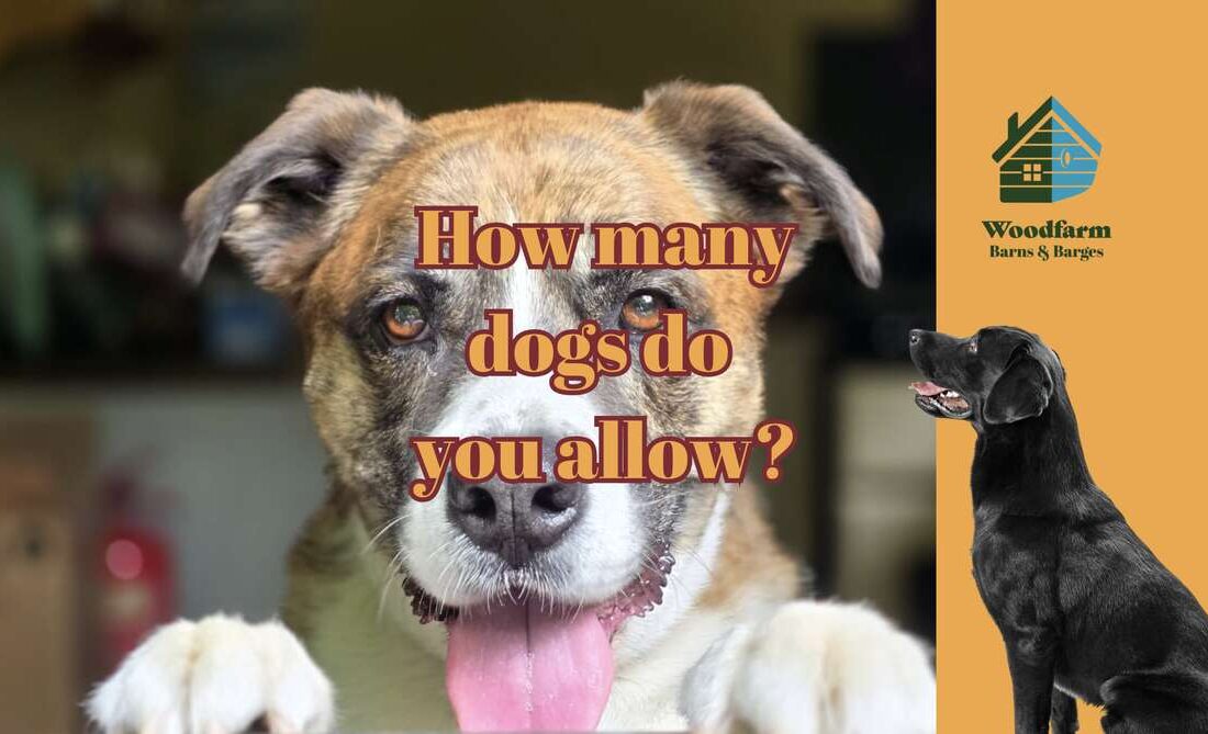 How many dogs do you allow?