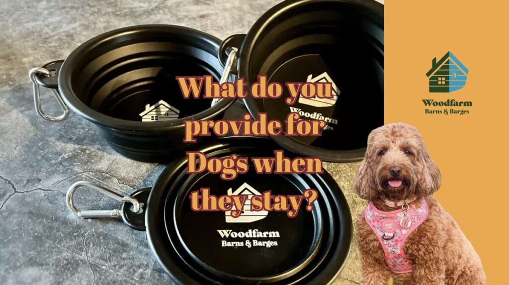 What's included for Dogs?