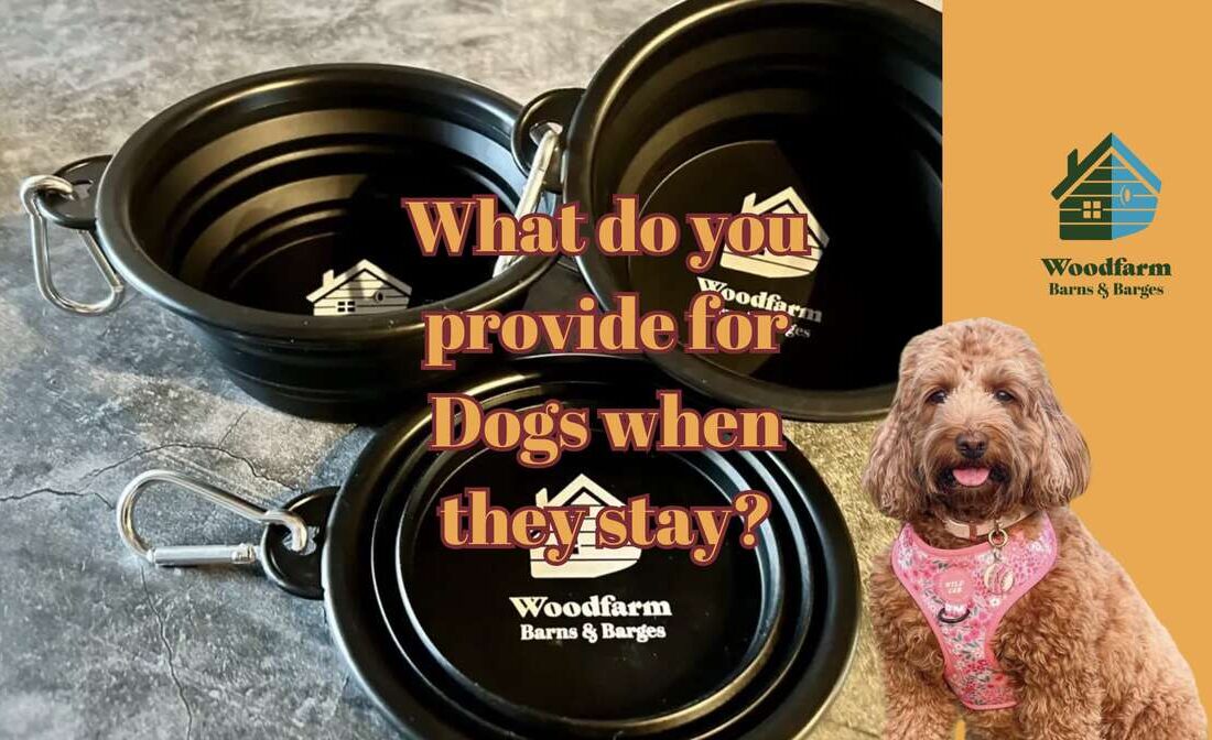 What's included for Dogs?