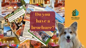 Do you have a brochure?
