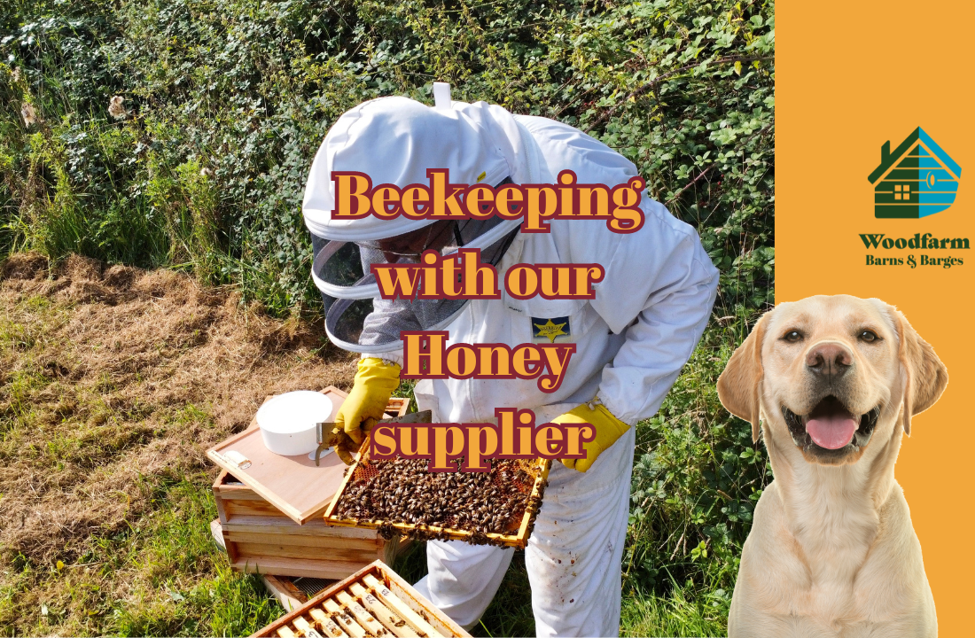 Beekeeping with our Honey supplier