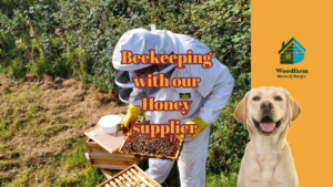 Beekeeping with our Honey supplier