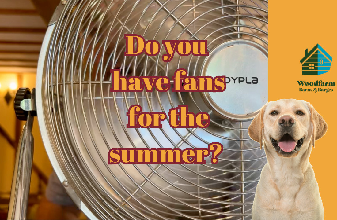 Do you have fans for the summer?