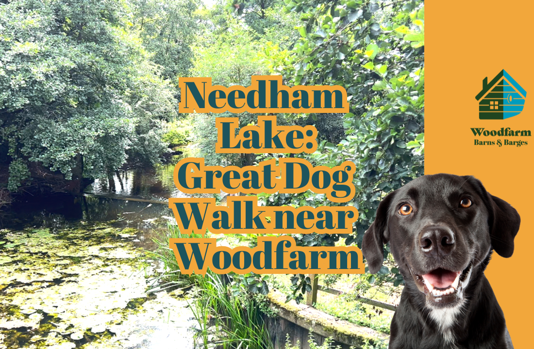 Needham Lake: Great Dog Walk near Woodfarm