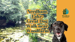 Needham Lake: Great Dog Walk near Woodfarm