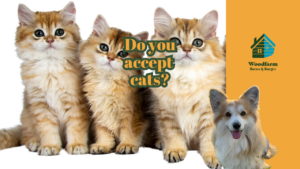 Do you accept cats?