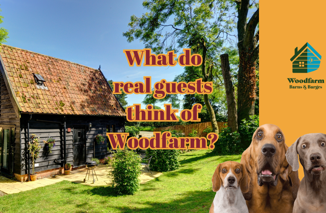 What do real guests think of Woodfarm?