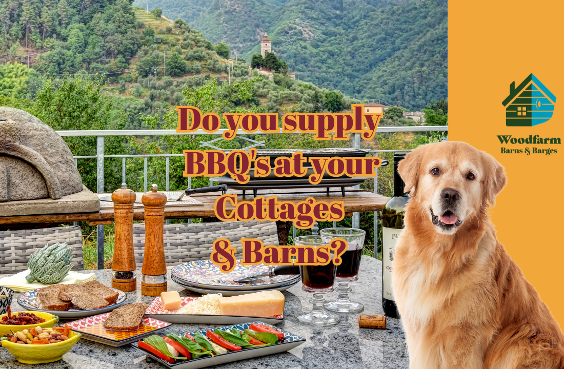 Do you supply BBQ's?