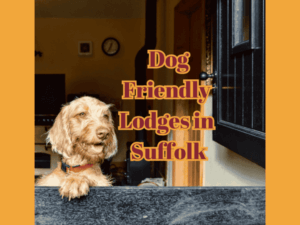 Dog Friendly Holiday Lodges in Suffolk