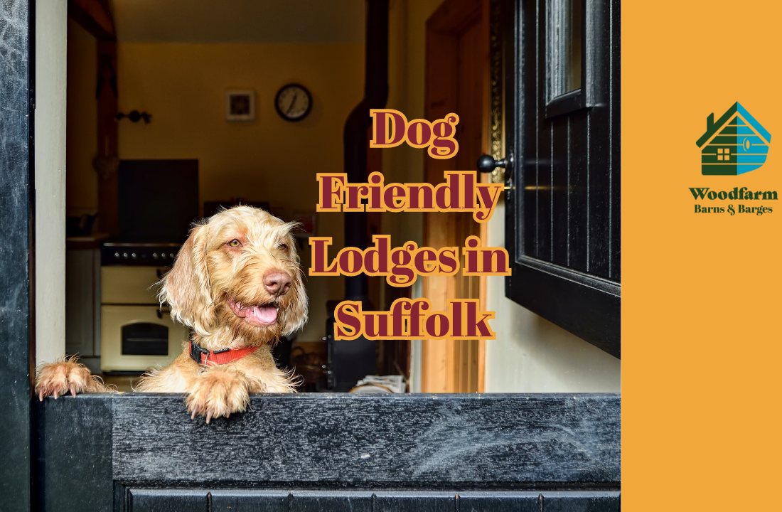 Dog Friendly Lodges in Suffolk - What do you have?