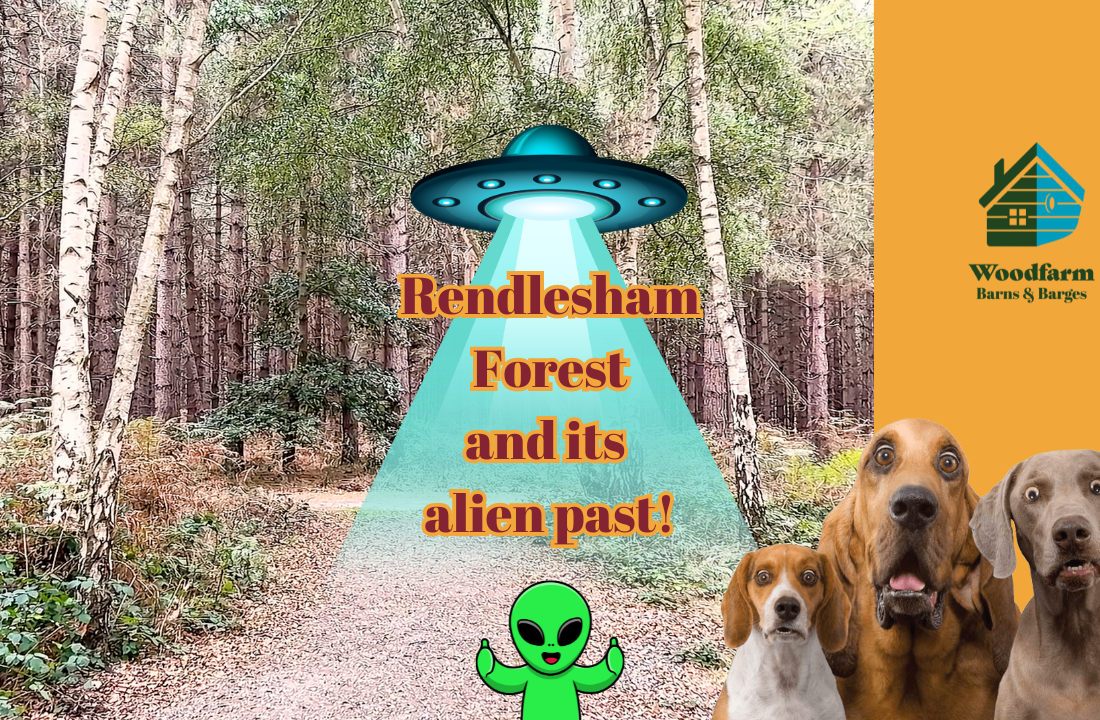 Rendlesham Forest and its alien past!